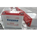 Koyama 12V Tricycle Électrique Plaque Tubulaire Batterie 170ah